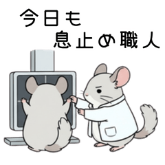 Chinchilla Radiology Tech
