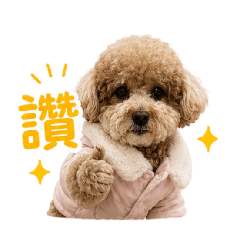 妞妞～小公主