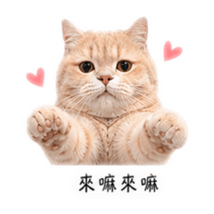 五吉的貼圖7