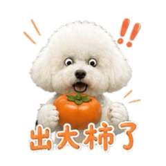 我是彬果 彬果是我bingo