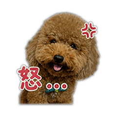 阿吉可愛16圖