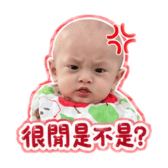 Kaibaby 嗆人日常