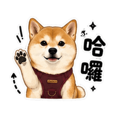 柴犬拿鐵的日常表情包ʕ •ᴥ•ʔ