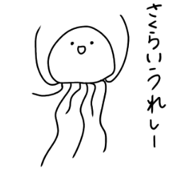 Muscle Jellyfish SAKURAI