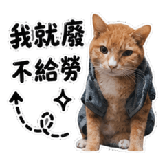 橘勢擺爛中