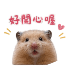 憨吉の日常圖
