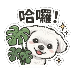 雪寶生活小日記