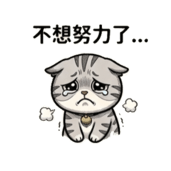 我的苗2