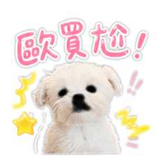 馬爾濟斯～阿噗3