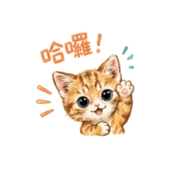 焗烤小妹妹