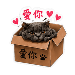 無敵藍胖Eso-1