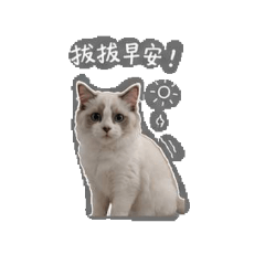 貓米咪