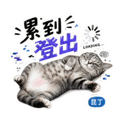 昆丁表情包