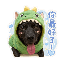 黑犬-咚咚 ！撒嬌日常