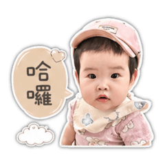 杉杉語錄