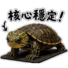 我家阿龜龜（運動篇）
