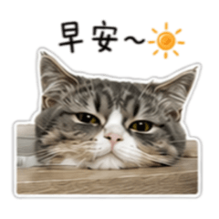 實用miu$