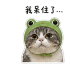 Miu小胖胖$
