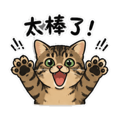 咪咪冒冒之虎斑貓篇