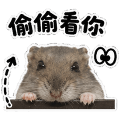 倉倉貼圖2