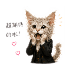 拉帕瑪貓上班日常