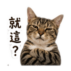 奶兇王子1