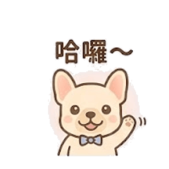 可愛法鬥 | 職場日常