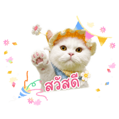 Lunlabell_20260502005112