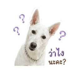 Chenkeping1_20260502005432