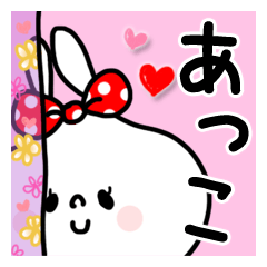 White rabbit sticker, Akko
