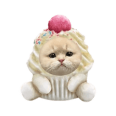 Kawaii CupCat