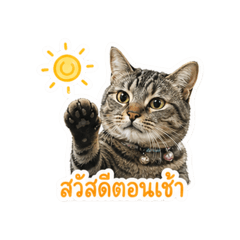 Momo_20260502022852