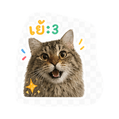 Niko_20260501220214