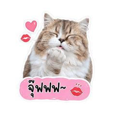Praew_20260502062631