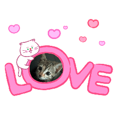 tiktik& friend_20260502064226