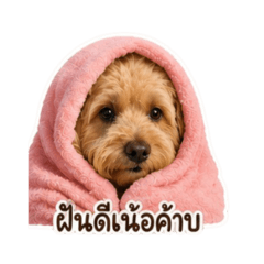 Nongmakham_20260502063612