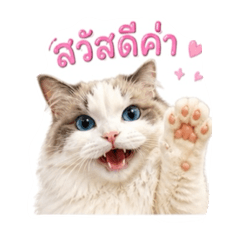 Nana_20260502080918