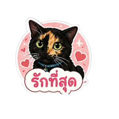 AOM_20260502074508