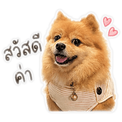 Leo_20260502075549