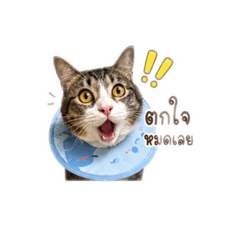 Baby_20260502081401