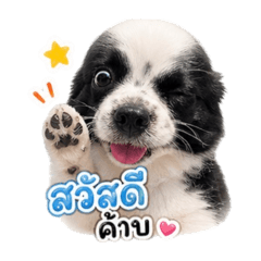 Fon_20260502082203