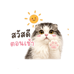 Happyfatcat V.1