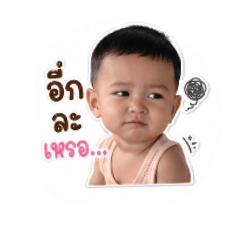 Niphaphon_20260502084603