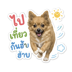 Itim_20260502091054