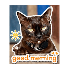 Looknam_20260502092339