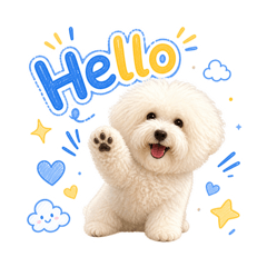 HAPPYBichon