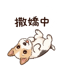 奶油妹妹上班生活