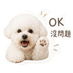 楊家七七寶