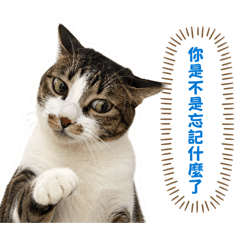 搗灰說幹話