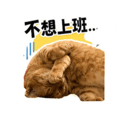 嘟嘟上班日記